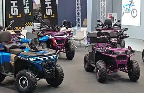 Exhibitions in Russia